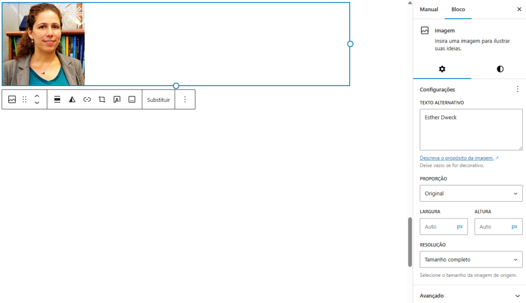 Nesse menu lateral as propriedades do objeto imagem podem ser personalizados