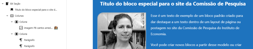 visão da coluna a esquerda