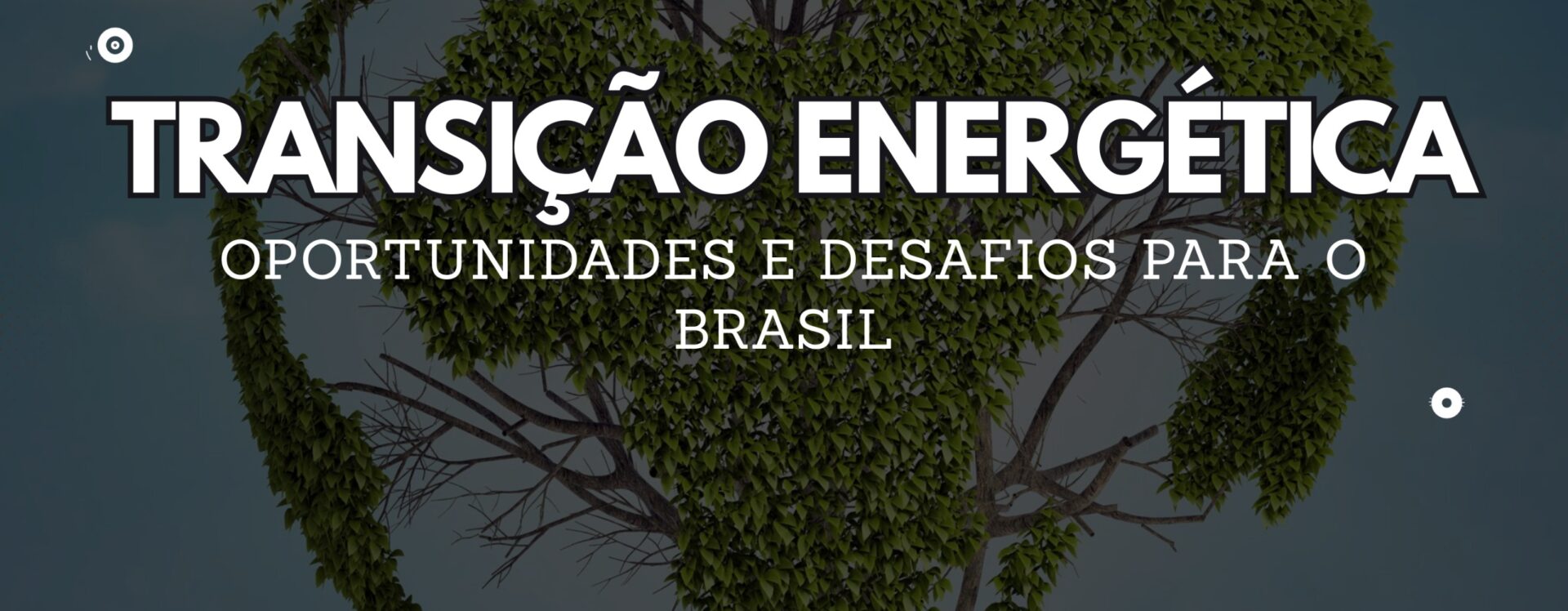 O Instituto de Economia da Unicamp, por meio da Comissão de Pesquisa, convida para o novo encontro do ciclo "Café & Pesquisa". Tema: Transição energética: oportunidades e desafios para o Brasil